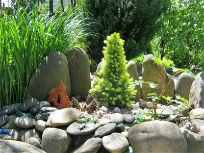 Природный камень в саду Хайди Хаукрофт (ID#1531070885), цена: 289 ₴, купить  на Prom.ua