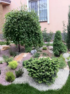 сочный сад с несколькими цветами камней и песка, фото маленьких  альпинариев, камень, сад фон картинки и Фото для бесплатной загрузки