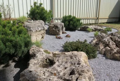 Каменистые сады