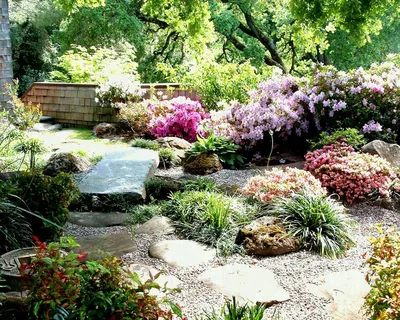 Как сделать каменистый сад на даче - Мир в цвету - Сайт о Цветах
