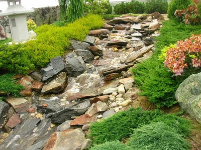 Каменистые сады —... - Донская ландшафтная компания | Facebook