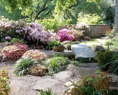 Как создать сад из камней: рокарий | GreenMarket