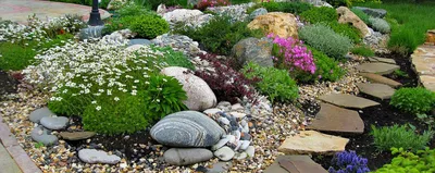 Создание дизайна каменистого сада: рокарии, альпийские горки, водные каскады