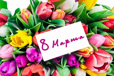 С Международным женским днем 8 марта! »