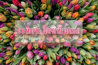 Дорогие, любимые девчонки, поздравляем с 8 Марта!