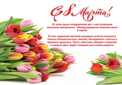 Поздравляем с 8 Марта! | 08.03.2023 | Новости Иркутска - БезФормата