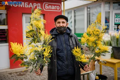 Символ 8 марта - НЕ МИМОЗА!