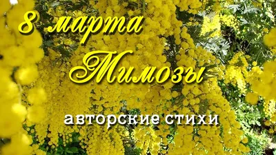 Как сделать мимозу из салфеток на 8 марта? | Детские поделки, Поделки,  Весенние поделки