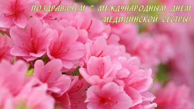 День медицинской сестры | Медицинское учреждение «Поликлиника №6 смешанного  типа»