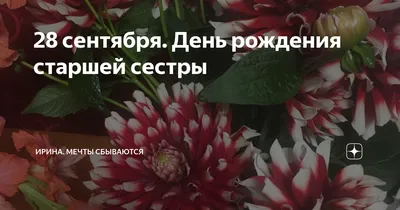 Поздравления с днем рождения сестре оригинальные и прикольные – в прозе,  стихи и открытки