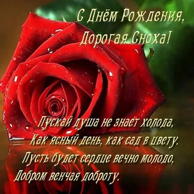 Поздравить с днём рождения красиво, своими словами золовку - С любовью,  Mine-Chips.ru