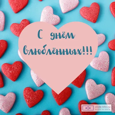 8 смешных валентинок с правдивыми поздравлениями на «День всех влюблённых»  | Zinoink о комиксах и шутках | Дзен