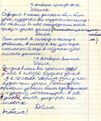 Светоч\" Дневник школьный 1-4 класс, глянцевая ламинация, A5+ 48 л. твердый  переплет 60 г/кв.м School Time 48ДТ5_000040 купить за 195,00 ₽ в  интернет-магазине Леонардо