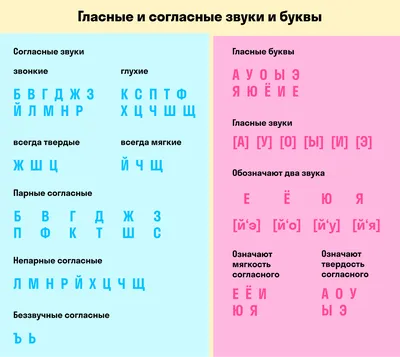 Обучающий плакат А1 \"Гласные и согласные звуки и буквы\" (2254074) - Купить  по цене от 18.12 руб. | Интернет магазин SIMA-LAND.RU