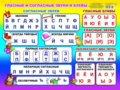 Плакат Карт. Гласные и согласные звуки и буквы 00005/нов 0+, шт купить по  цене 85₽, описание, характеристики в интернет-магазине SNPMarket