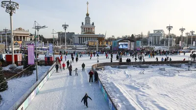 Каток с искусственным покрытием открывается в парке «Сокольники» / Новости  города / Сайт Москвы