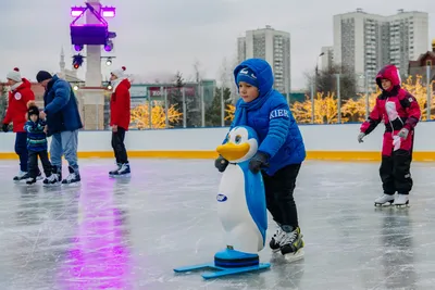 МК по фигурному катанию для взрослых на открытом катке в Красноярске -  фото, цена