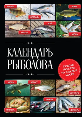 12 крутых идей на каждый месяц чем заняться с ребенком | Kite Украина