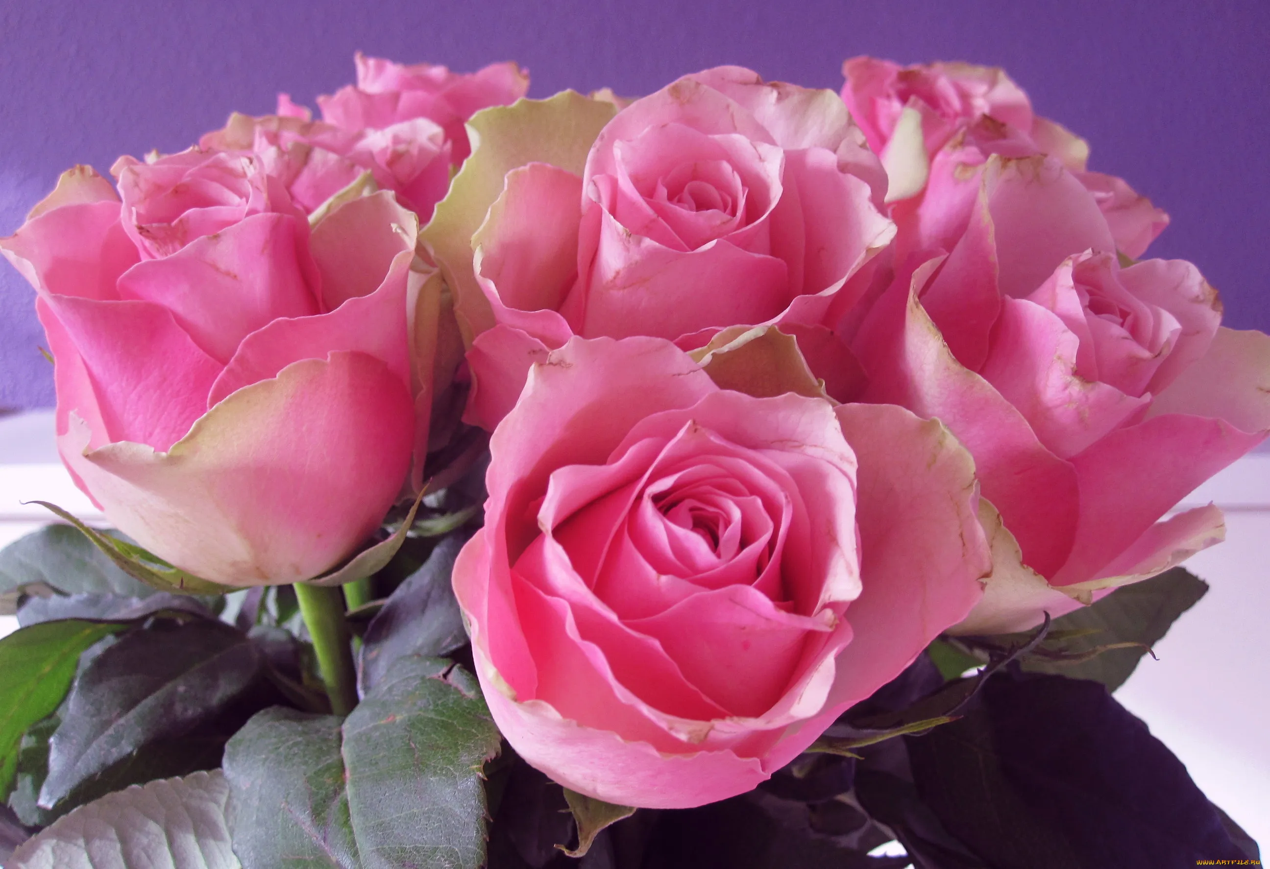 Открытку на любой день. Розы для Любочки. Букет для Любаши. Цветы для Любы. С днём рождения Любочка открытки.