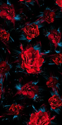 Обои розы, цветы, розовый, черный картинки на рабочий стол, фото скачать  бесплатно