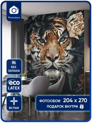 Обои тигр, дикая кошка, темный фон картинки на рабочий стол, фото скачать  бесплатно
