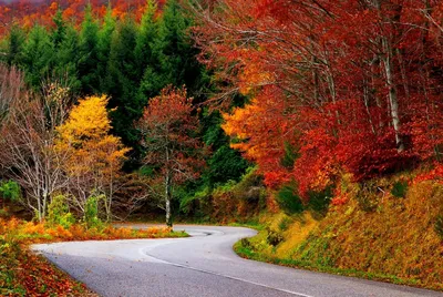 Premium Photo | Card with various drawings on the autumn theme