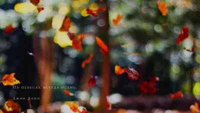 маленькая девочка сидит в листьях с тыквами на заднем плане, картины на осеннюю  тематику фон картинки и Фото для бесплатной загрузки