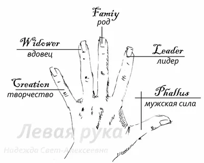 Почему сводит пальцы на руках: от судорог в кистях до профилактики