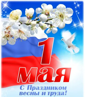 Первомай официально празднуют в России в сотый раз - Парламентская газета