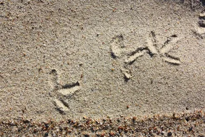 Девушка лежит на песке на пляже Стоковое Фото - изображение насчитывающей  океан, лето: 82559888