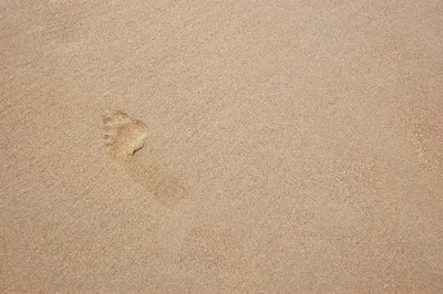 Слово Правда Написанная На Песке — стоковые фотографии и другие картинки  Песок - Песок, Честность, Доверие - iStock