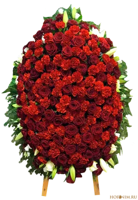 Венок на похороны с розами и гвоздиками - купить в Москве, цены на  ритуальные венки в похоронном бюро Horonim.ru