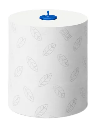 Купить Бумажные полотенца Карина, 2-х слойные, 2 рулона в упаковке, белый:  в Алмате, Астане • Цена на Офис Эксперт - oe.kz