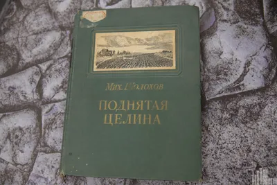 Книга Пословицы и поговорки народов Востока. Систематизированное собрание  изречений - купить современной литературы в интернет-магазинах, цены на  Мегамаркет |