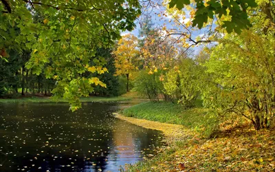 Фон рабочего стола где видно autumn, park, lake, nature, trees, осень,  парк, озеро, природа, деревья