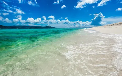 песчаный кей -айленд британские виргинские острова поляж океан лето HD обои  для ноутбука | Ở biển, Ảnh mùa hè, Hình nền