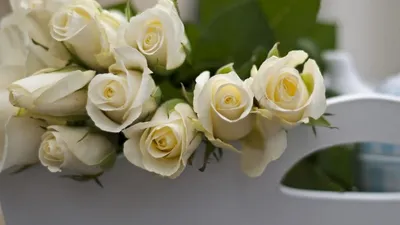 Обои розы, цветы, белые, бутоны, лежат картинки на рабочий стол, фото  скачать бесплатно
