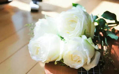 Обои розы, цветы, белые, желтые, букет, композиция, красиво картинки на рабочий  стол, фото скачать бесплатно
