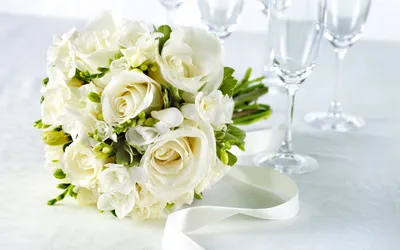 Роза розовая белая рабочий стол, белые розы, белый, флорибунда, цвет png |  PNGWing