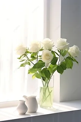 Белые розы обои - 62 фото