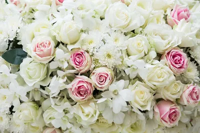 Скачать обои Белые розы (Цветы, Белые розы) для рабочего стола 1600х900  (16:9) бесплатно, Макро фото Белые розы Цветы, Белые розы на рабочий стол.  | WPAPERS.RU (Wallpapers).