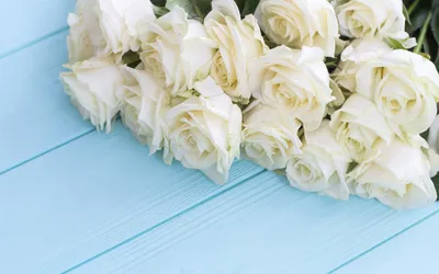 Фон рабочего стола где видно white roses, bouquet, flowers, buds, blue  background, белые розы, букет, цветы, бутоны, голубой фон