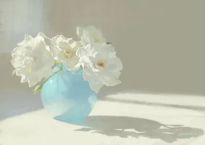 Белые розы на голубом фоне - обои на рабочий стол
