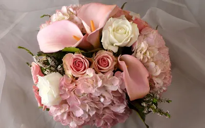 Фотографии Букеты роза Каллы Белый цветок 3072x2250