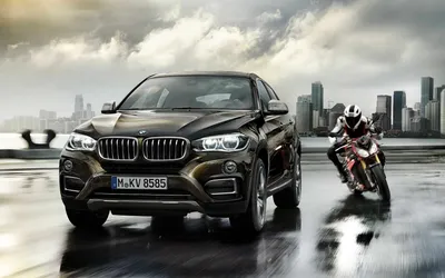 2019 BMW X4 - First Video - BimmerFile