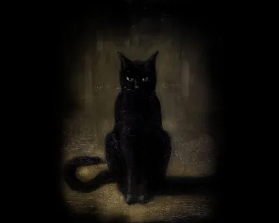 Черный кот - Красивые картинки обоев для рабочего стола