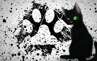 Пушистый чёрный кот, обои и прикольные картинки на рабочий стол.