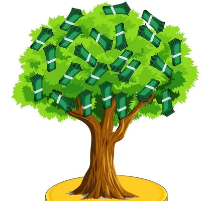 Ещё одно денежное дерево (Толстянка): хороший уход | Россия Green - просто  и профессионально о газоне | Дзен