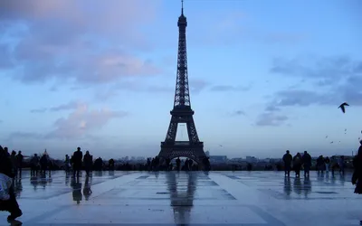 Обои на рабочий стол Здания на фоне Эйфелевой башни, Париж, Франция /  Eiffel tower, Paris, France, обои для рабочего стола, скачать обои, обои  бесплатно