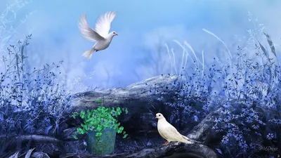 Обои на рабочий стол Белые голуби в поле, один летит, второй на дереве,  среди травы, рядом полено со свежей травой, обои для рабочего стола,  скачать обои, обои бесплатно